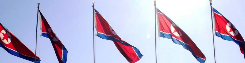 the north korean flag. North Korean Flags