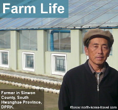 Farm in North Korea
