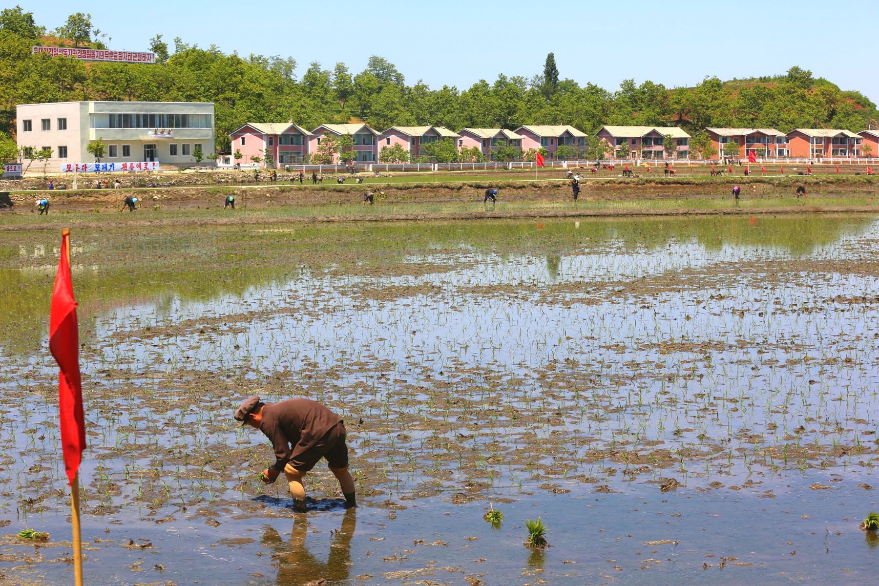 Chonsam Cooperative Farm in the outskirts of Wonsan City, North Korea (DPRK). Tour arranged by KTG Travel