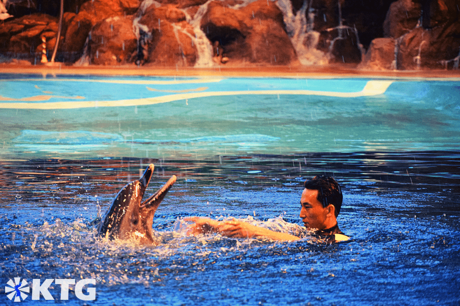 Entrenador de delfines norcoreano en el Delfinario de Rungna en Pyongyang capital de Corea del Norte. Viaje organizado por KTG Tours