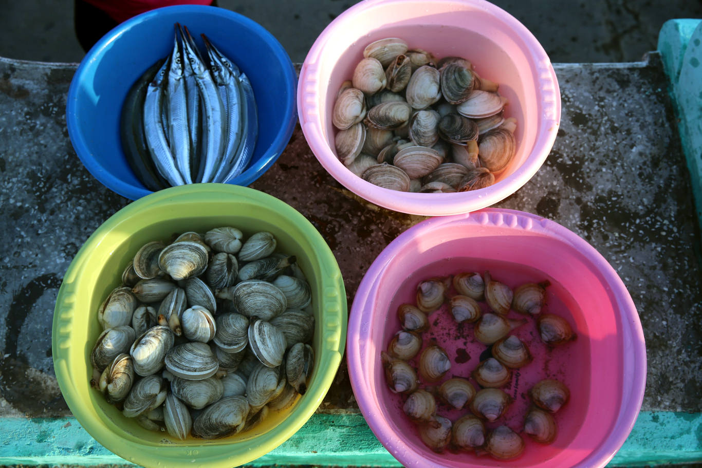 Fresh seafood in Wonsan city, Kangwon province, North Korea (DPRK). Trip arranged by KTG Tours