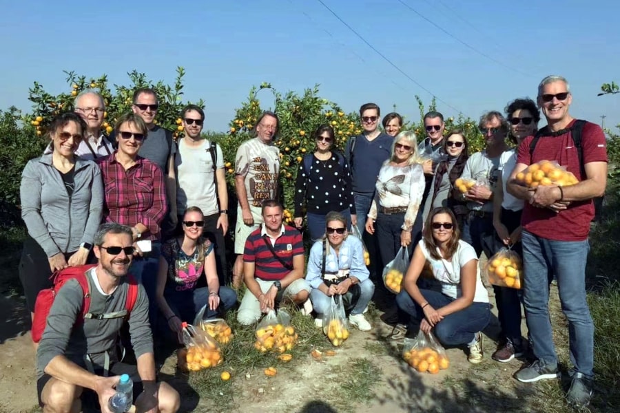 Recogiendo naranjas en la isla de Hengsha en China