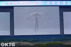 Giant LED screen at the Rungna Dolphinarium in Pyongyang North Korea