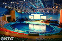 piscina en el delfinario Rungna en Corea del Norte
