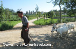 Granja en Corea del Norte