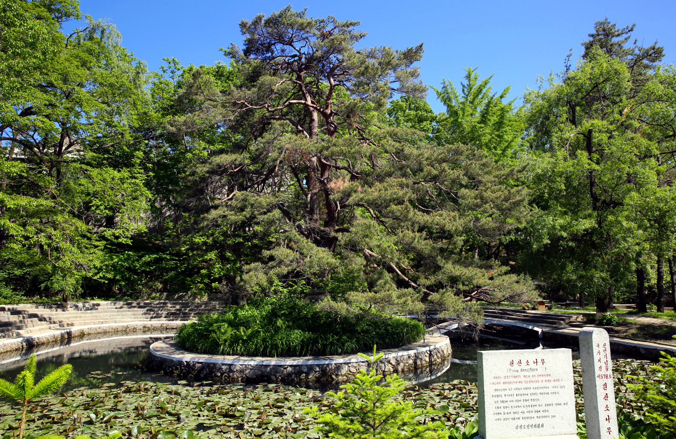 Pond at the Wonsan University of Agriculture in North Korea (DPRK). Trip arranged by KTG Tours