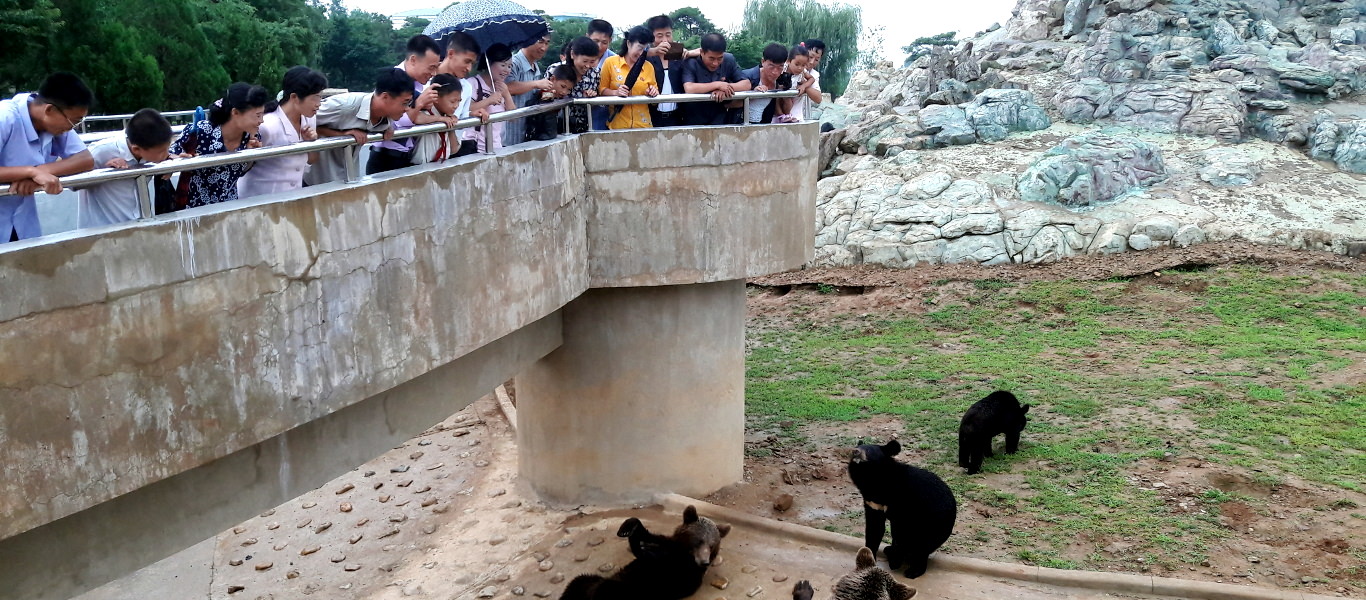 Pyongyang Zoo