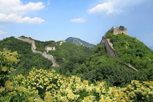 excusrsion a la seccion de la gran muralla china de las flores amarilass
