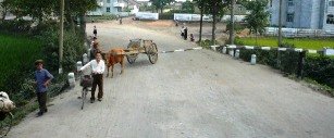 Cooperative Farm in North Korea