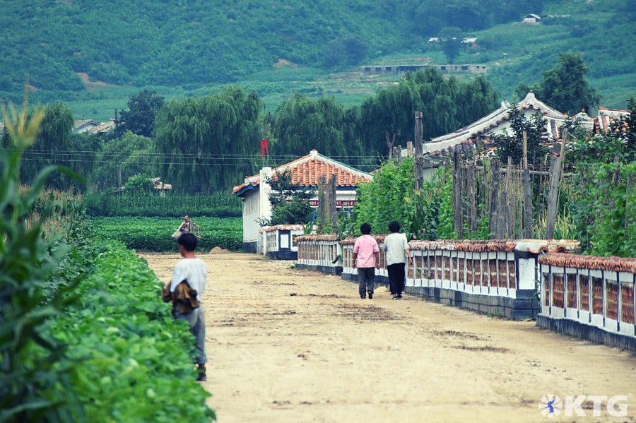 Fattoria cooperativa vicino a Hamhung, Corea del Nord, RPDC. Viaggio in Corea del Nord organizzato da KTG Tours