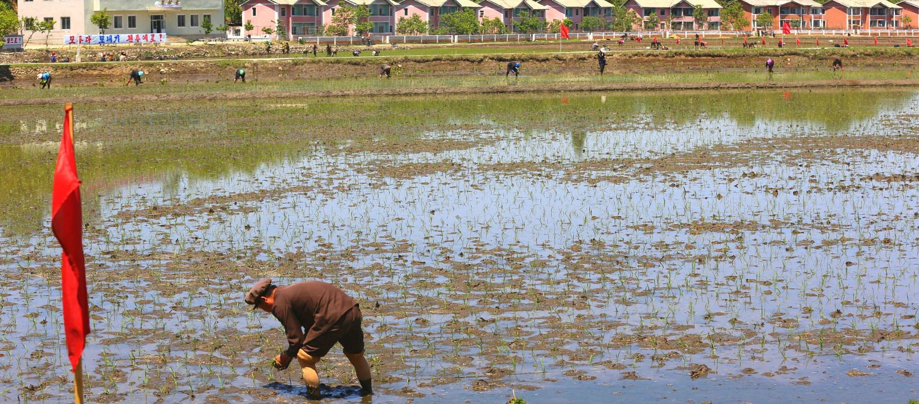 Farm life in North Korea. Cooperative farm near Wonsan in the DPRK. Tour arranged by KTG