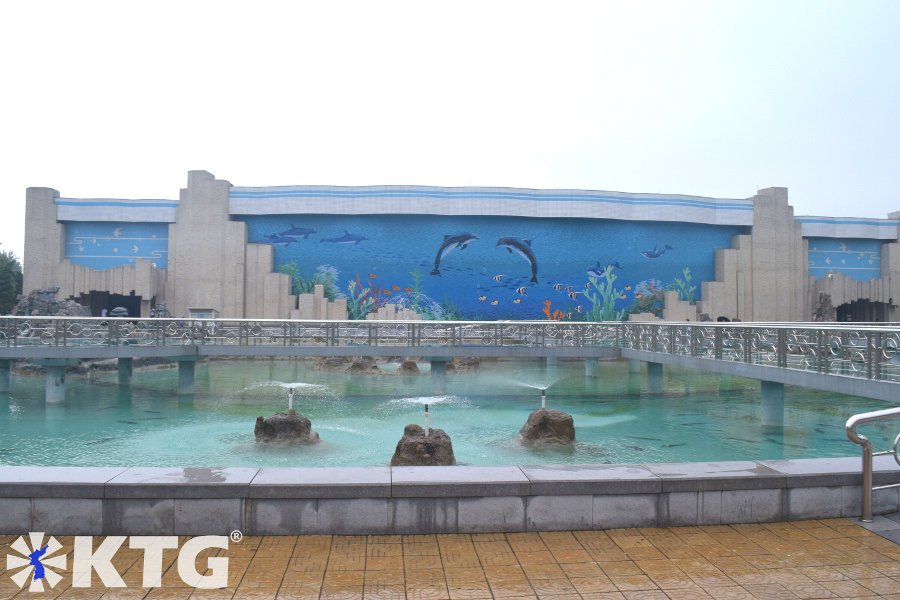 Delfinario en el zoológico de Pyongyang. El zoológico central de Corea es un gran lugar para conocer e interactuar con los niños. Descubra la RPDC con KTG Tours