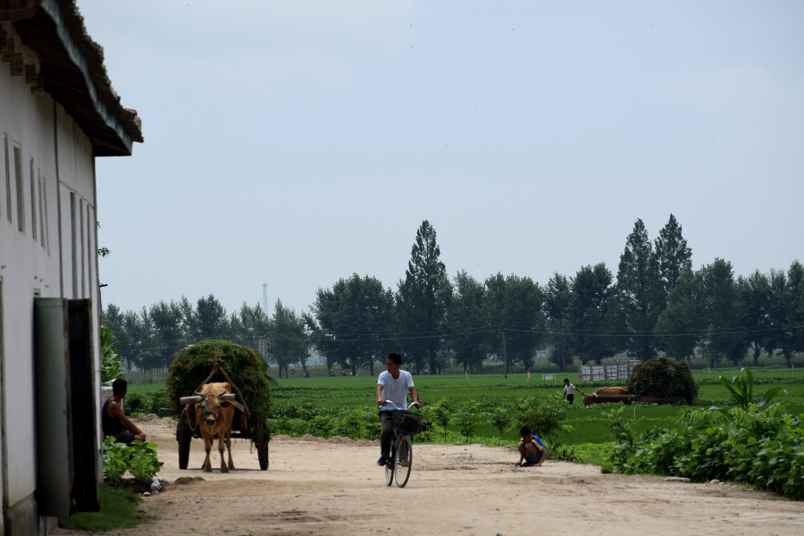 Tongbong farm near Hamhung city, the provincial capital of South Hamgyong province in North Korea, DPRK. Check our North Korea interactive map