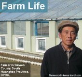 Farm in North Korea