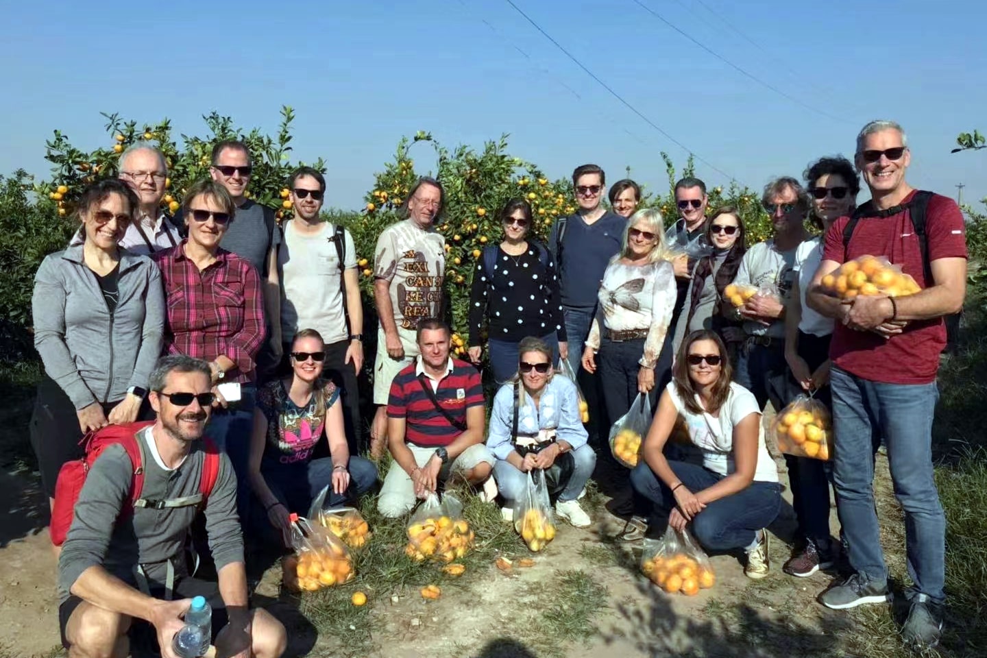 Picking oranges at Hengsha Island, bike tour near Shanghai, China