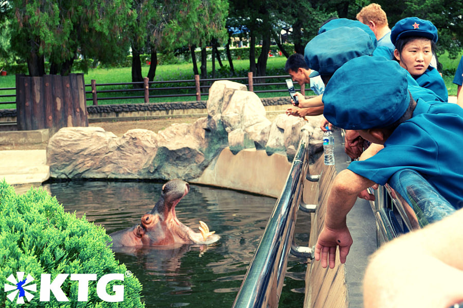 Los niños norcoreanos miran un hipopótamo en el zoológico de Pyongyang. El zoológico central de Corea es un gran lugar para conocer e interactuar con los niños. Descubra la RPDC con KTG Tours