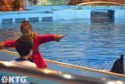 Nina norcoreana en el delfinario Rungna en Corea del Norte