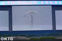 Pantalla gigante LED en el delfinario Rungna en Corea del Norte