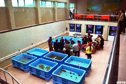 Rason Taehung Trading Corporation in North Korea. Travellers seeing seafish at the factory. The food can be cooked on the spot.