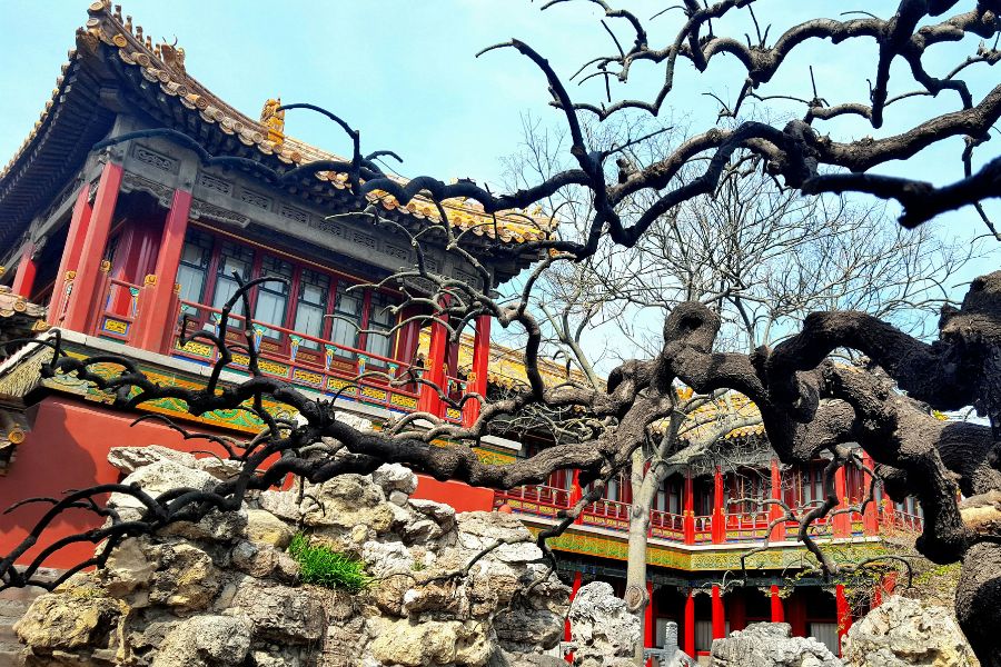 jardin en la ciudad prohibida por la tarde en invierno, Pekin, Beijing, China