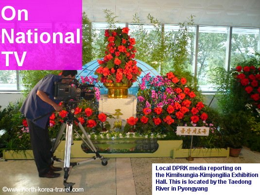 Viaje a Corea del Norte - la exhibición de flores se televisa en un canal nacional de Corea del Norte