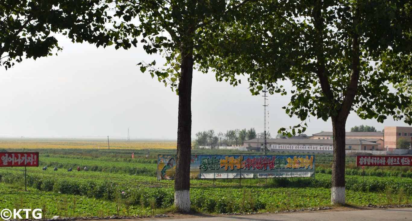 Migok farm in Sariwon, Corée du Nord. KTG offers farm tours