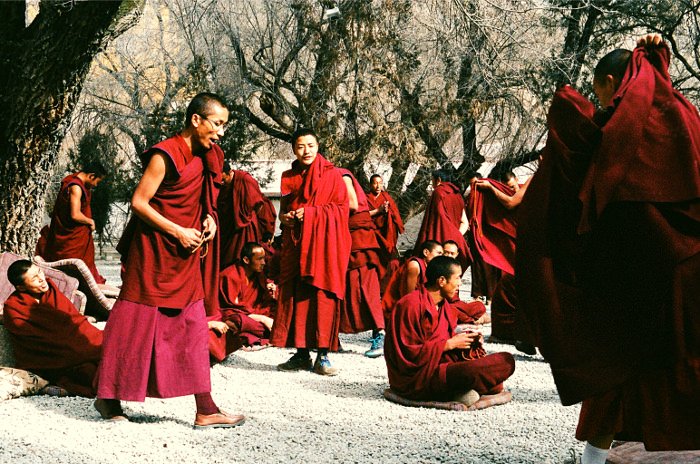 Monjes tibetanos debatiendo en el monasterio de Sera en Lhasa en el Tibet