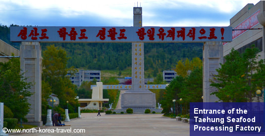 Fábrcia de marisco Taehung en Rason, Corea del Norte