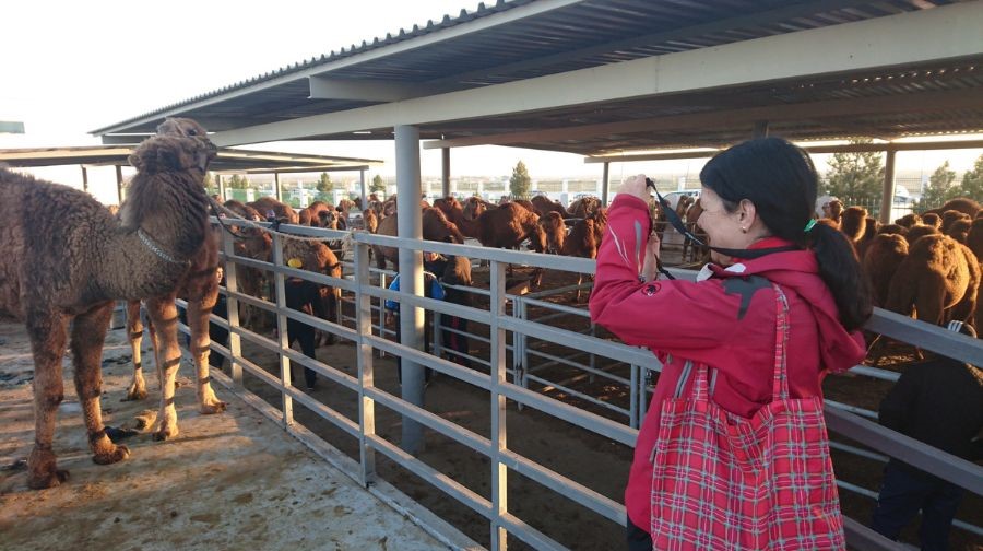 Bazar dominical en Ashgabat