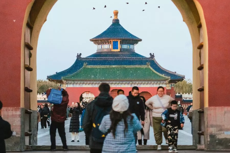 pajaros volando en el templo del cielo en invierno, Pekin, Beijing, China