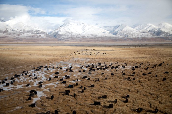 Views from train to Tibet, China. Road to Heaven.