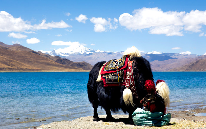 Yamdroktso lake in Tibet, China