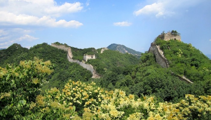 La Gran Muralla China de las Flores Amarillas en el distrito de Huairo en el norte de Beijing, Pekin, China