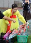 Korean lady picking flowers